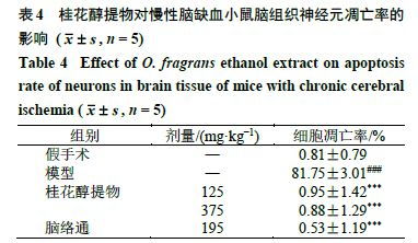 基于網絡藥理學與動物實驗探究桂花醇提物對慢性腦缺血神經損傷的保護作用及機制