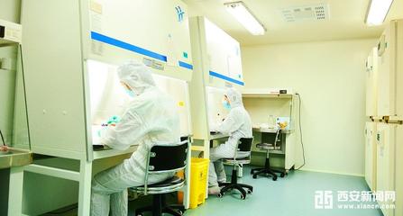 秦漢新城大健康產(chǎn)業(yè)加速布局 大型GMP生物實(shí)驗(yàn)室即將投用，助推醫(yī)學(xué)研發(fā)新突破