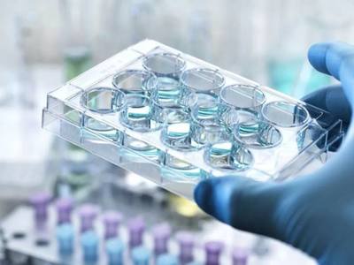 新冠肺炎對(duì)生命科學(xué)行業(yè)的沖擊與重塑 醫(yī)學(xué)研究與試驗(yàn)發(fā)展迎來(lái)新契機(jī)