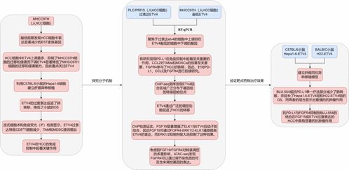 多組學(xué)在疾病發(fā)生發(fā)展過(guò)程中的研究思路與應(yīng)用前沿