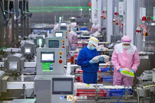 中國式現代化的德州實踐 樂陵市統籌城鄉發展 扛牢“三面旗”建設新篇章